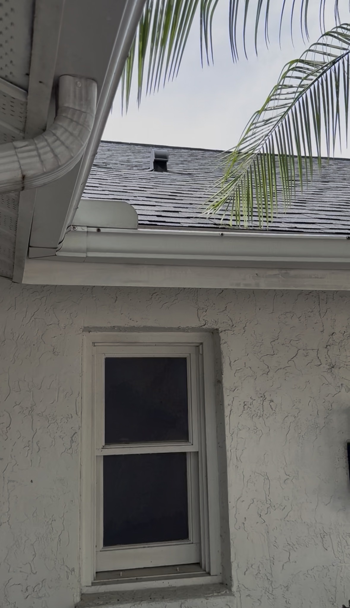 After: AG Clean 4