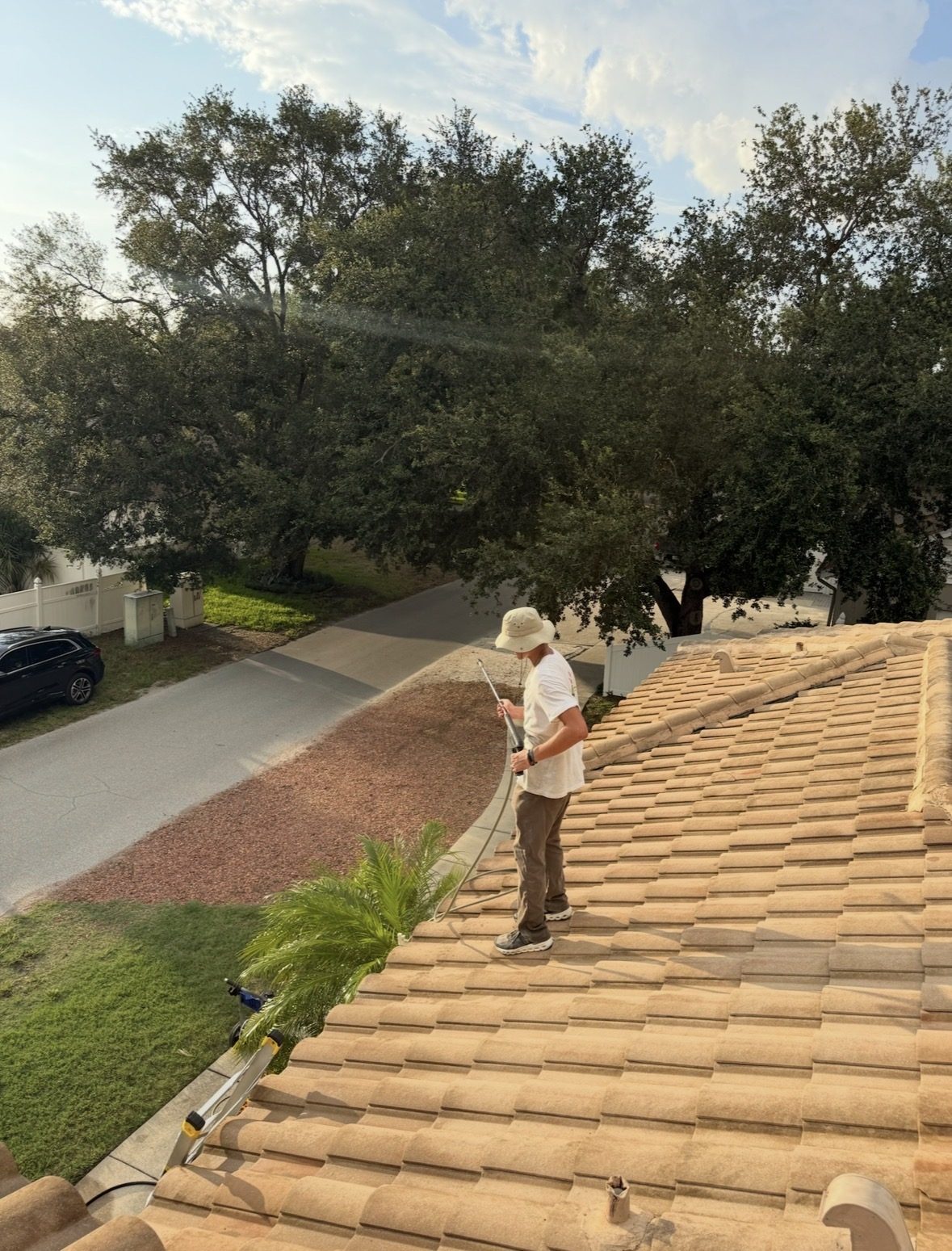 Roof Washing Service
