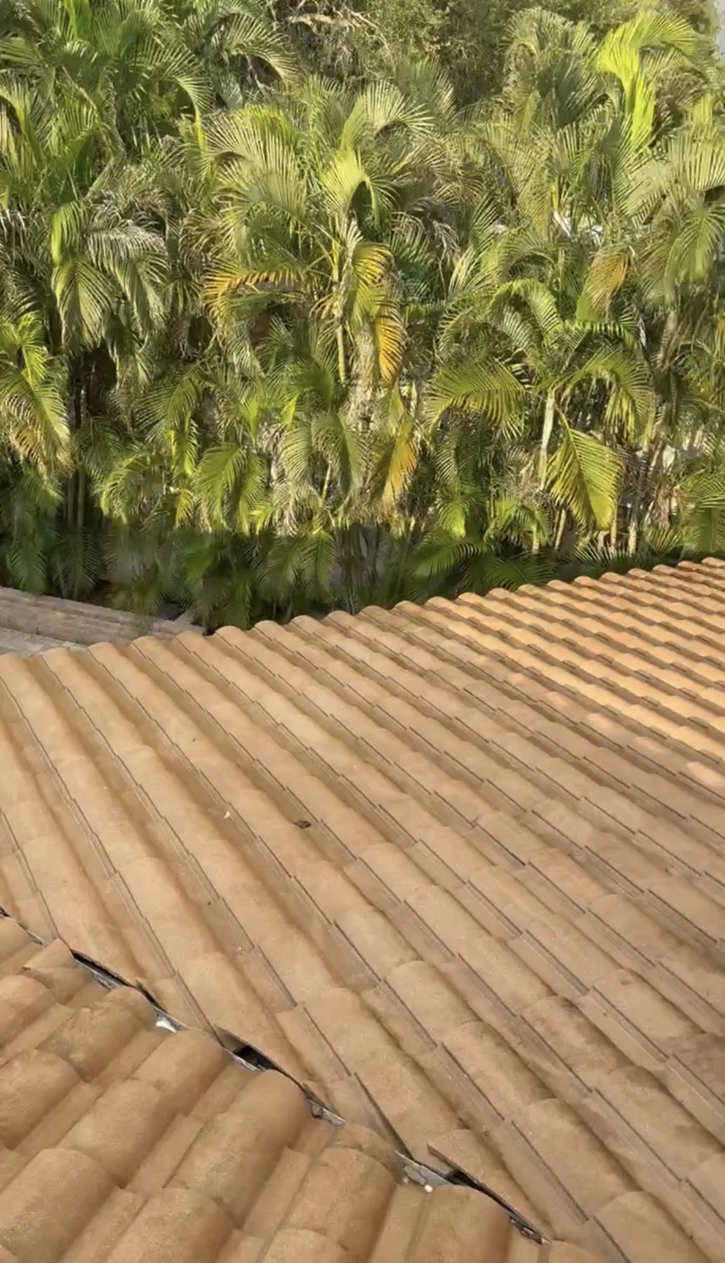 After: Clean Roof 2