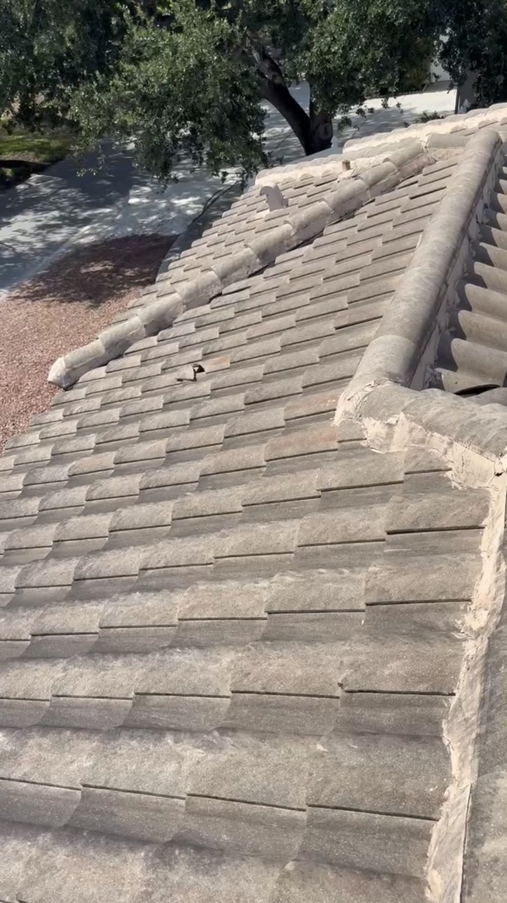 Before: Dirty Roof 1