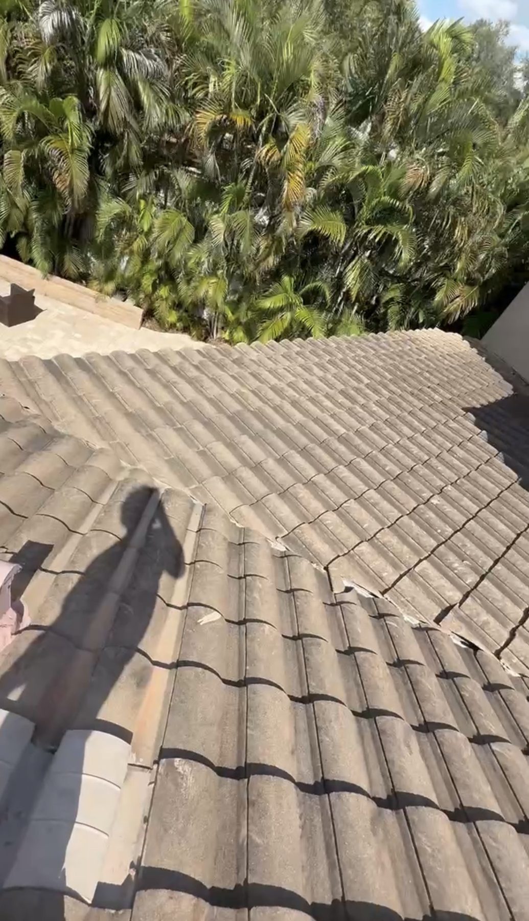 Before: Dirty Roof 2