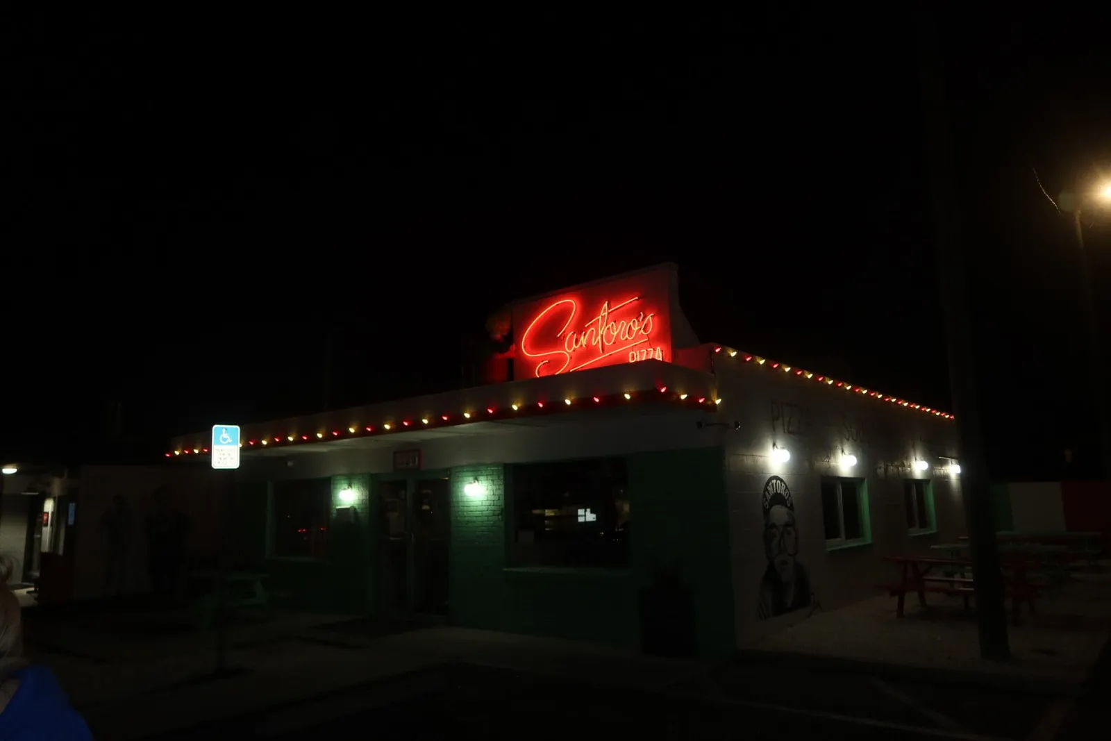 Tampa Twinkles lighting installation 1