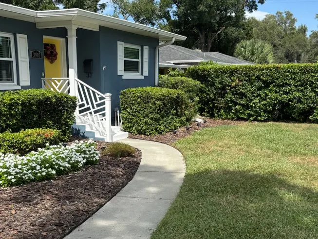 After: cleaned curved front walkway in Tampa
