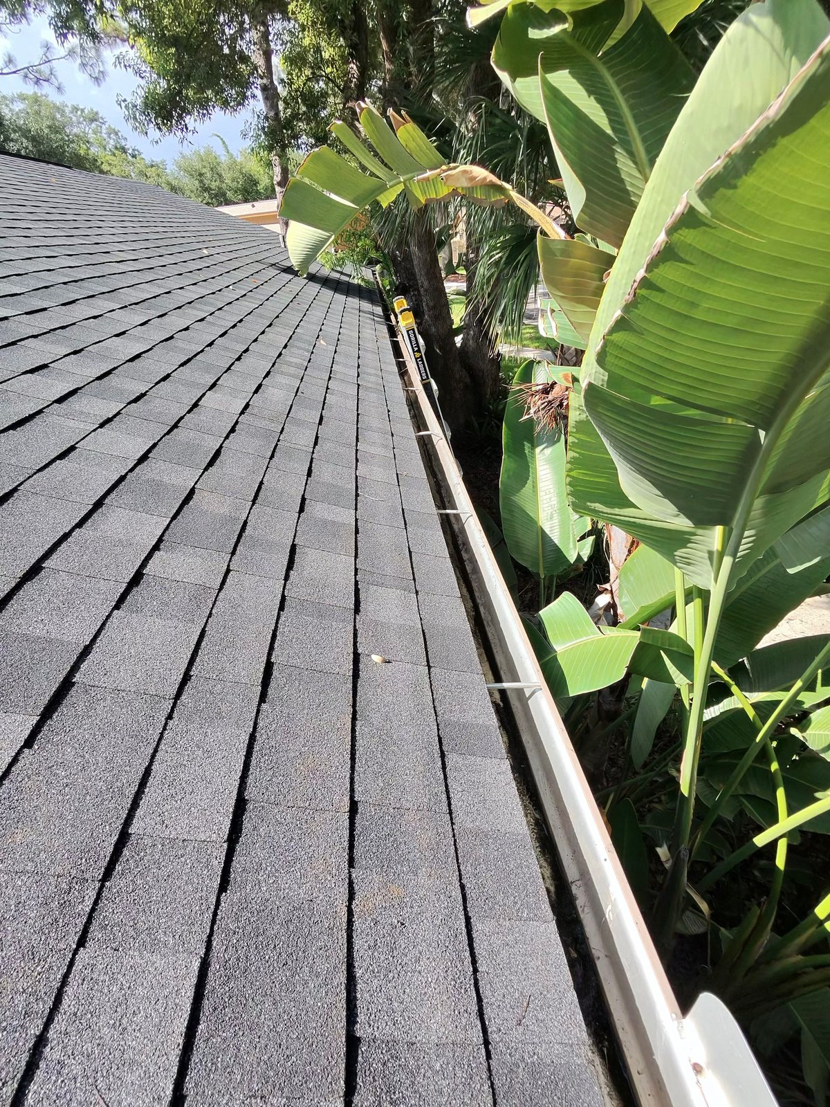 After: cleaned gutter run in Tampa