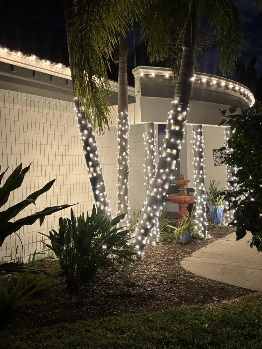 Christmas lights wrapped around palm trees on a Tampa home