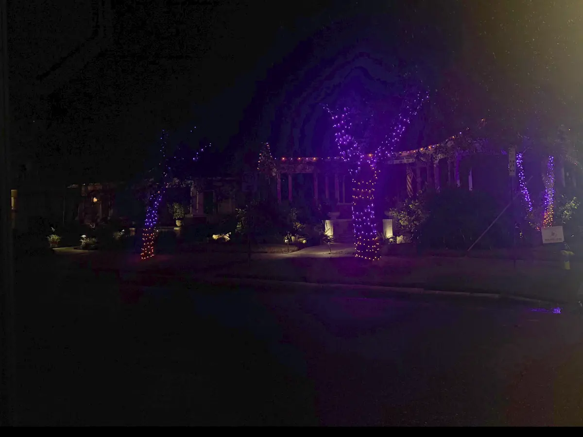 Street view of a Tampa home at night with purple wrapped trees and roofline lights