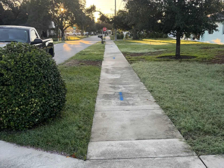 Before: mildewed residential sidewalk in Tampa