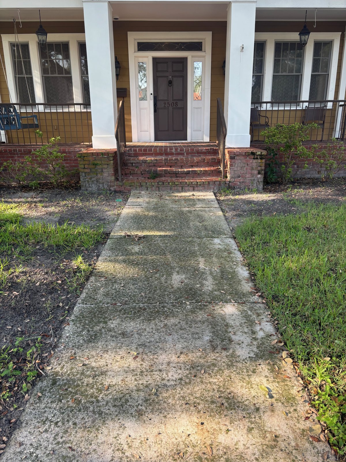 Before: mossy walkway in Tampa